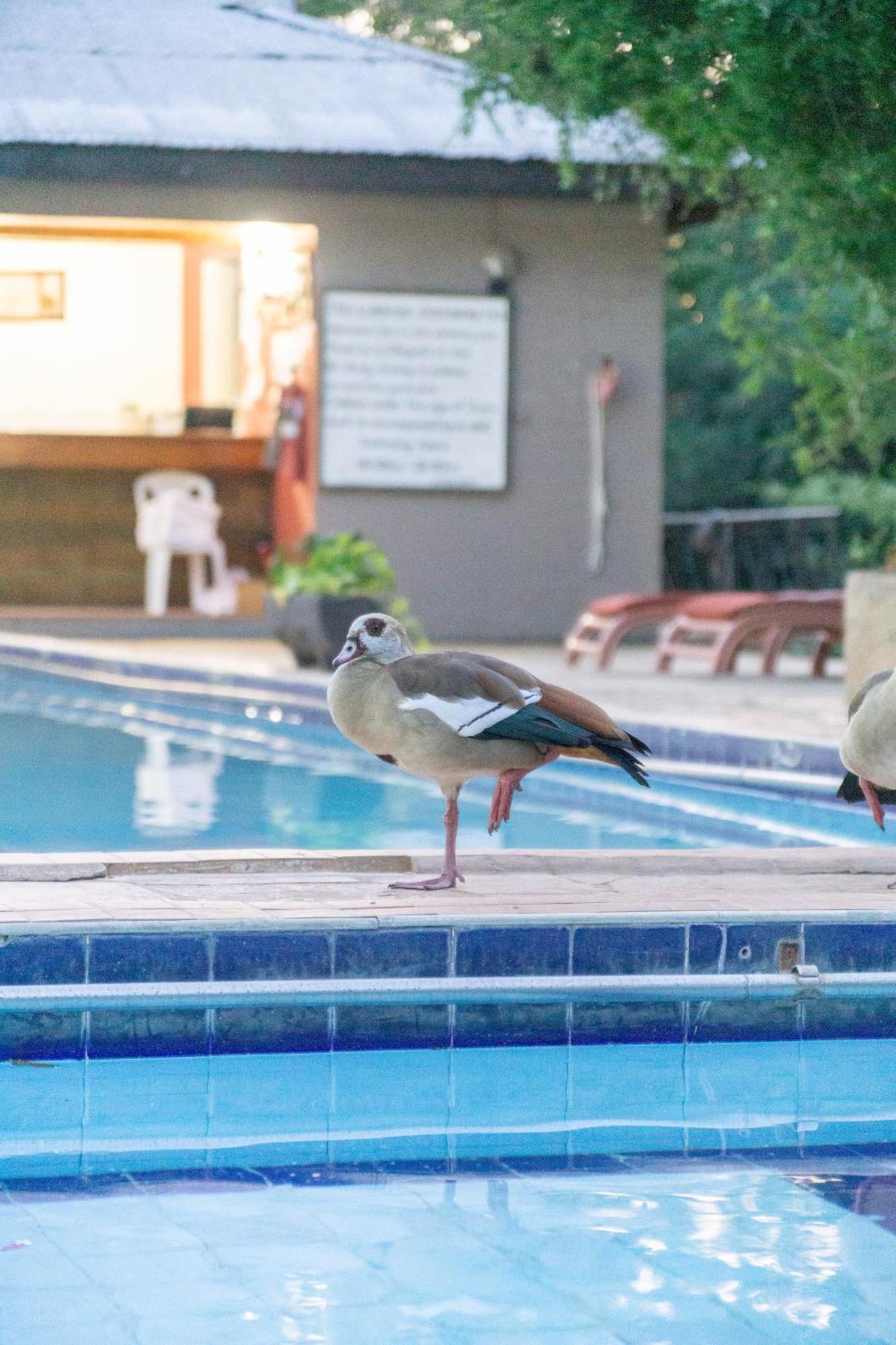 ホテル ルケニヤ ゲッタウェイ アシ川 エクステリア 写真