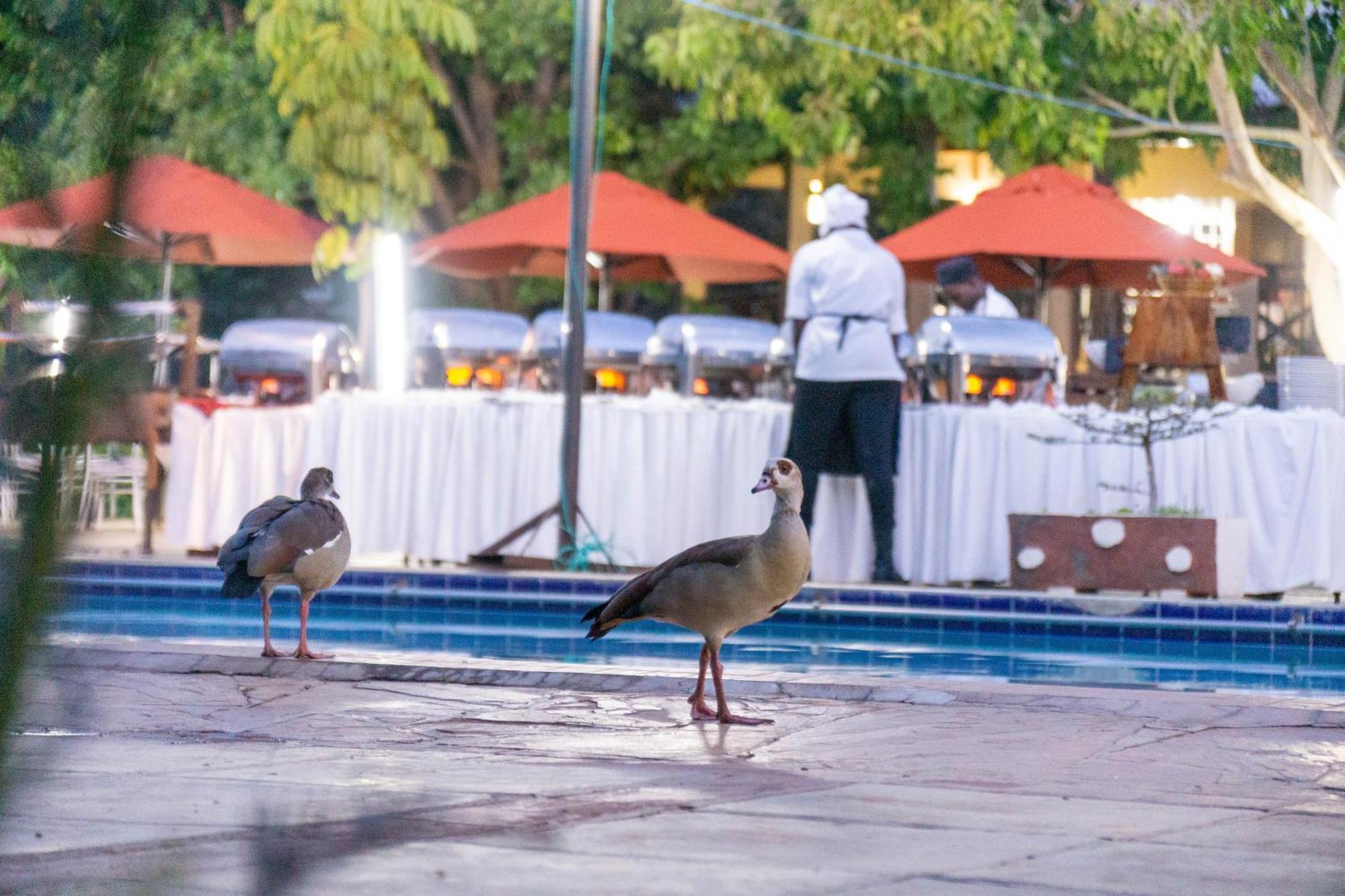 ホテル ルケニヤ ゲッタウェイ アシ川 エクステリア 写真