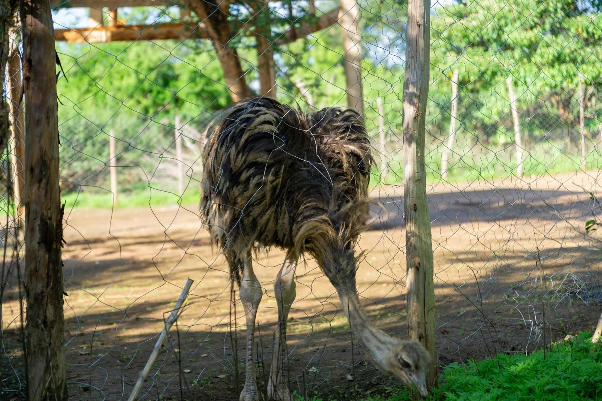 ホテル ルケニヤ ゲッタウェイ アシ川 エクステリア 写真